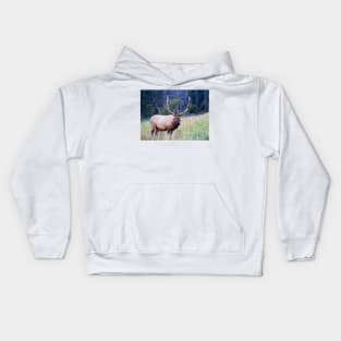 Bull Elk Kids Hoodie